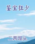 鉴宝狂少笔趣阁免费阅读
