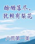 酴釄落尽,犹赖有梨花拼音