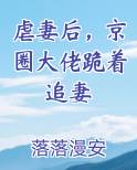 虐妻后，京圈大佬跪着追妻排行榜完结版