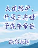 大道熔炉，开局王府世子谋夺帝位