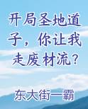 开局圣地道子，你让我走废材流？全文阅读