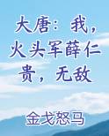 大唐：我，火头军薛仁贵，无敌