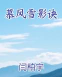 慕风雪影诀