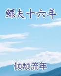 鳏夫十六年