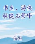 书生，游侠林隐石景峰