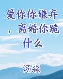 爱你你嫌弃，离婚你跪什么推荐小说