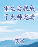 重生后我成了大帅宠妻免费阅读