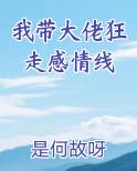 我带大佬狂走感情线