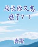 局长你又怎麽了？！