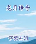 龙月奇侠传