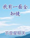 我有一面全知镜小说排行榜