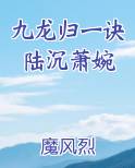 九龙归一诀陆沉日照小说网