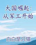大国崛起：从军工开始