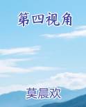 第四视角